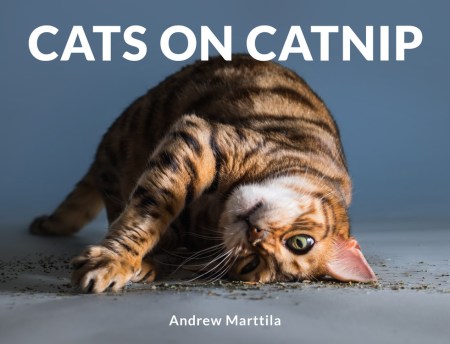 Cats on Catnip by Andrew Marttila | Hachette Book Group | Running Press